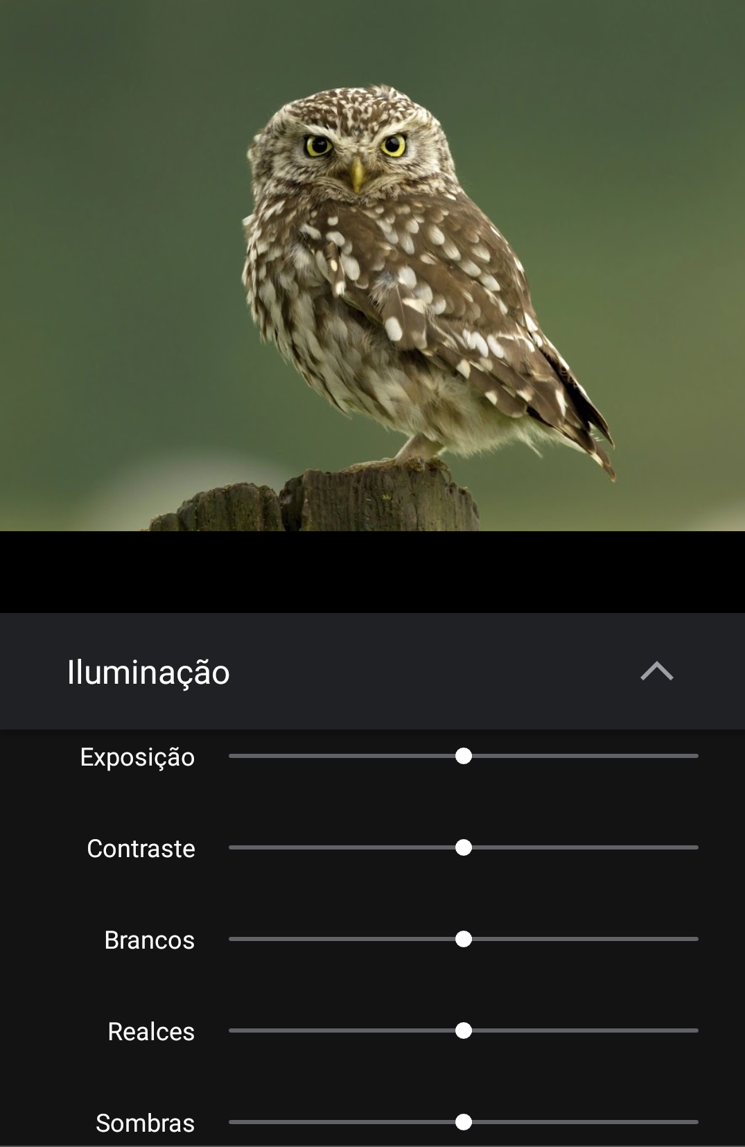Google Fotos_imagem com as ferramentas de edição detalhada do Google Fotos